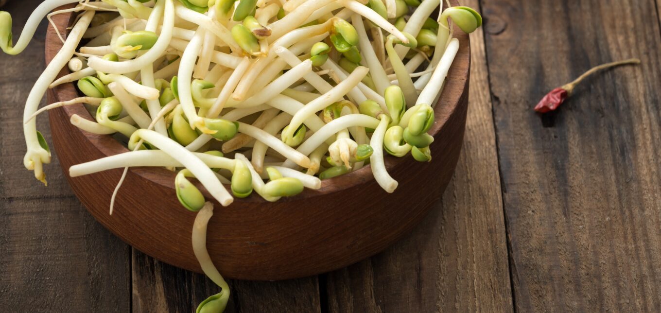 Types of Sprouts and How to Cook With Them – Mother Earth News - Vimarsana News